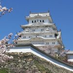 2月10日に兵庫県姫路市駅前町352KS駅前ビル3Fに美容クリニックプレオープン！