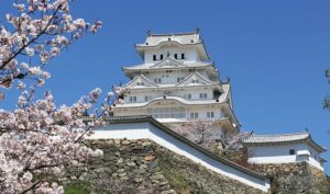 2月10日に兵庫県姫路市駅前町352KS駅前ビル3Fに美容クリニックプレオープン！