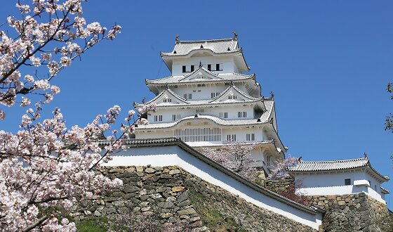 2月10日に兵庫県姫路市駅前町352KS駅前ビル3Fに美容クリニックプレオープン！